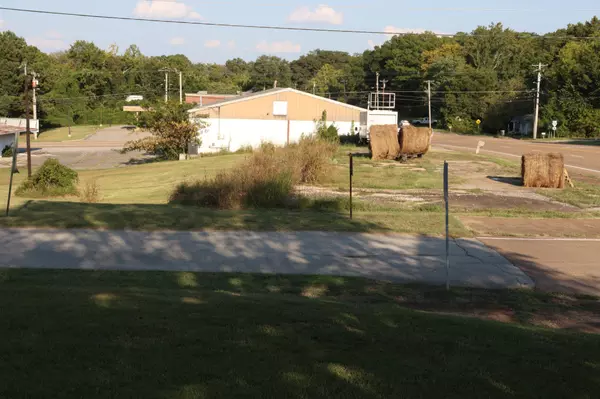 Hollow Rock, TN 38342,28875 Broad St