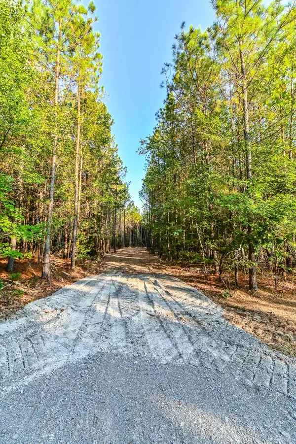 Hohenwald, TN 38462,0 Brush Creek Rd