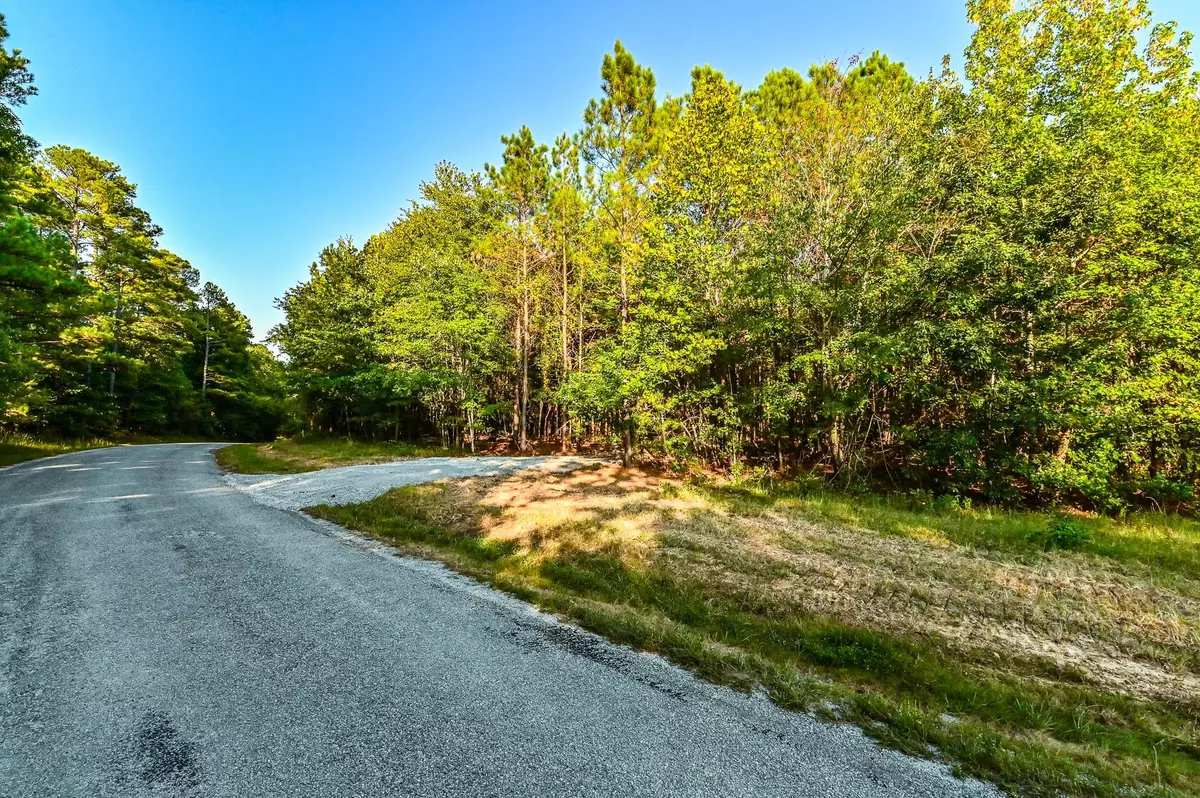 Hohenwald, TN 38462,0 Brush Creek Rd