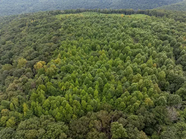 Belvidere, TN 37306,0 Keith Springs Mtn Rd