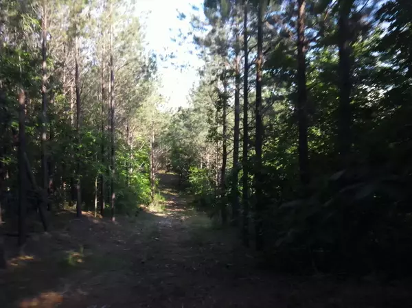 Linden, TN 37096,2932 Old Hohenwald Rd