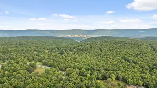 Dunlap, TN 37327,392 Tunnie Point