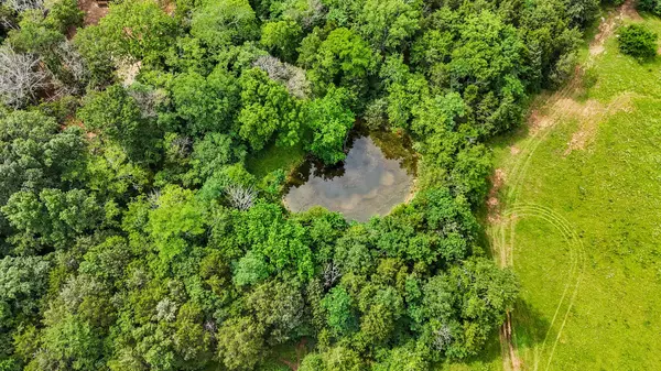 Chapel Hill, TN 37034,0 Clem Creek Rd