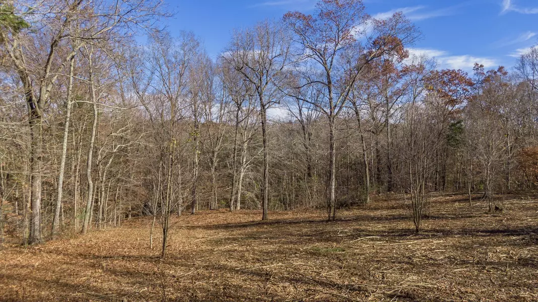 7368 Overbey Rd, Fairview, TN 37062