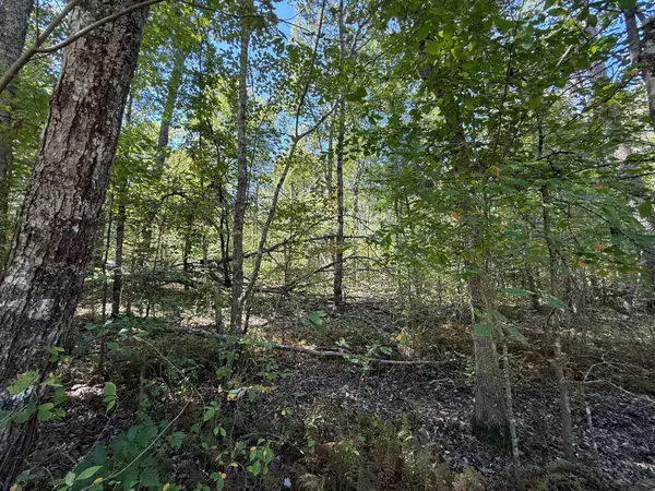 Monterey, TN 38574,2 Cumberland Lakes Dr