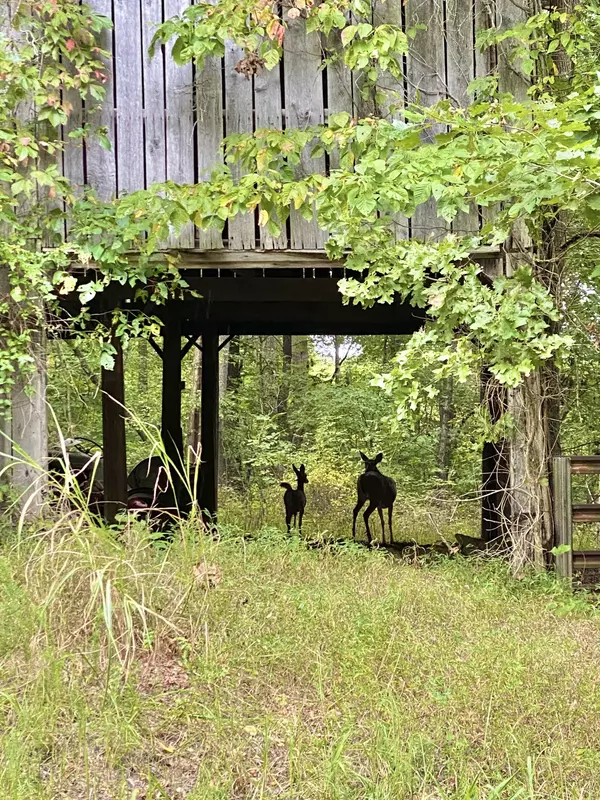 Portland, TN 37148,1672 Rapids Rd