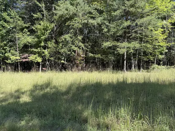 Monteagle, TN 37356,1121 Sassafras Ct