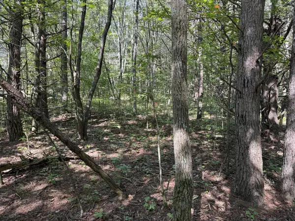 Monteagle, TN 37356,1121 Sassafras Ct