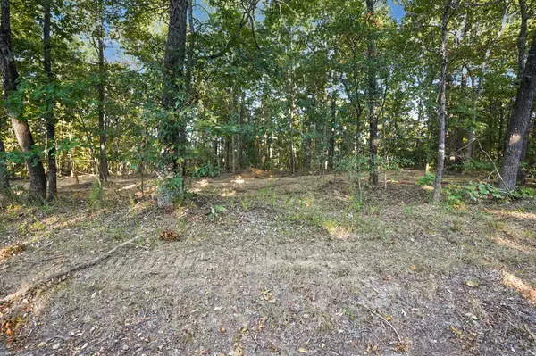 Stewart, TN 37175,7 Hwy 232