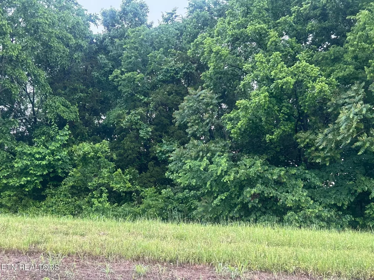 Decatur, TN 37322,52 The Gates Drive