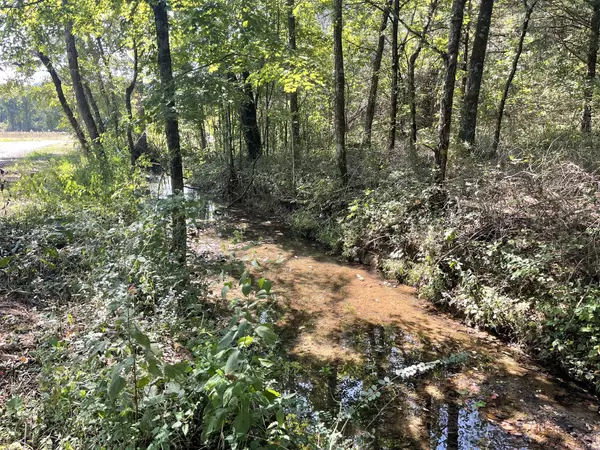 Dellrose, TN 38453,0 McBurg Dellrose Rd Tract 2