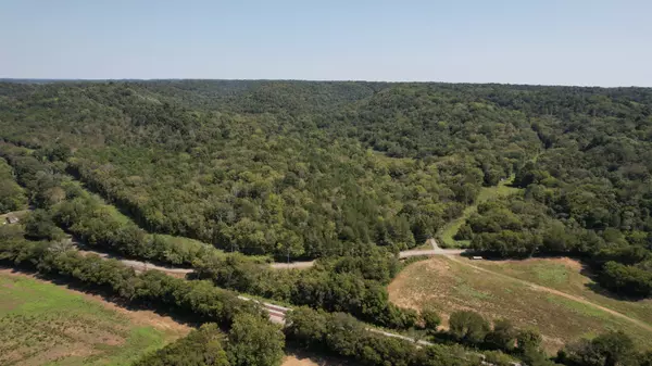 Dellrose, TN 38453,0 McBurg Dellrose Rd Tract 2