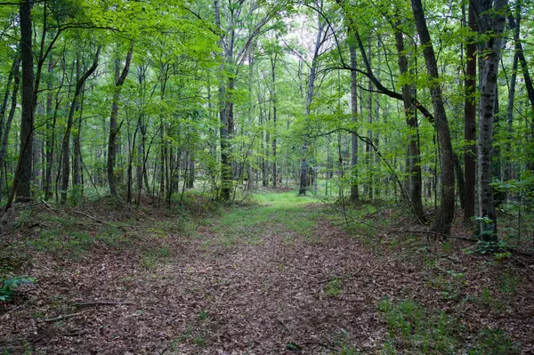 Spencer, TN 38585,0 Fikes Field Rd & Greenfield Rd