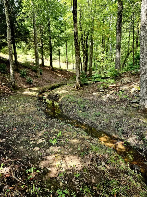 Altamont, TN 37301,136 Winding Creek Way