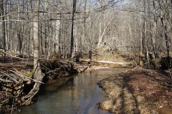 Big Sandy, TN 38221,0 Danville Road