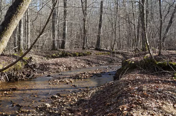 Big Sandy, TN 38221,0 Danville Road