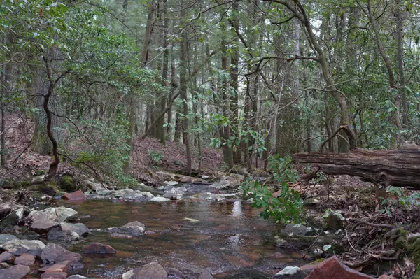 Tracy City, TN 37387,0 Pryor Ridge Road