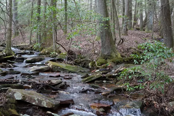 0 Pryor Ridge Road, Tracy City, TN 37387