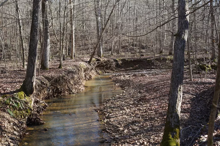 0 Danville Road, Big Sandy, TN 38221