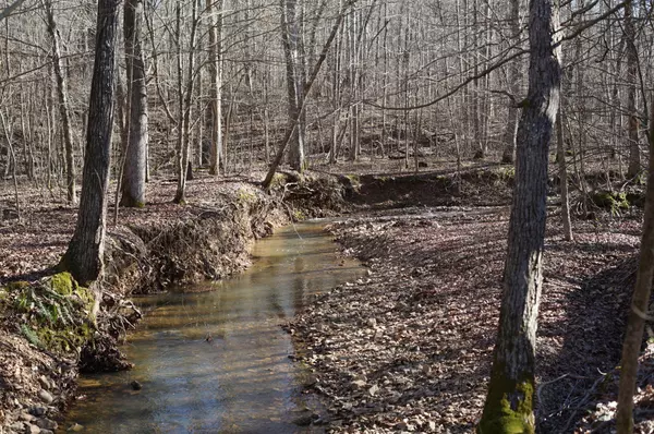 0 Danville Road, Big Sandy, TN 38221