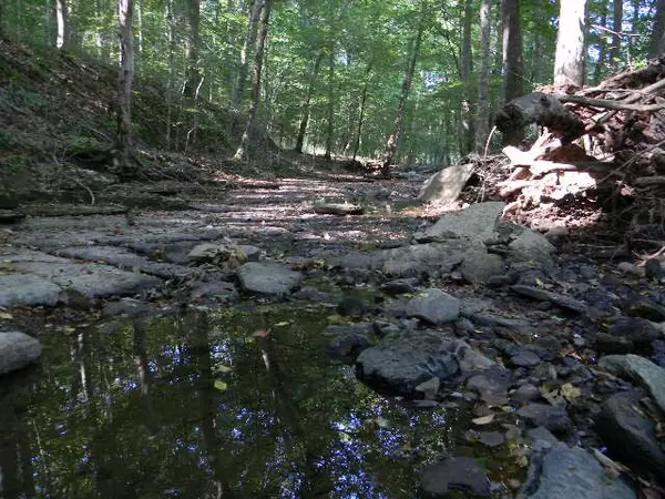 Waverly, TN 37185,0 Traylor Branch Road