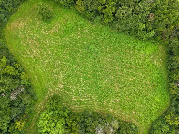 Franklin, TN 37064,0 Leipers Creek