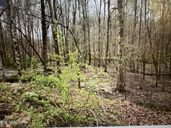 Crossville, TN 38571,0 Grace Hill Drive