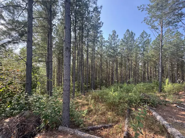 Linden, TN 37096,301 Ridgewood Dr