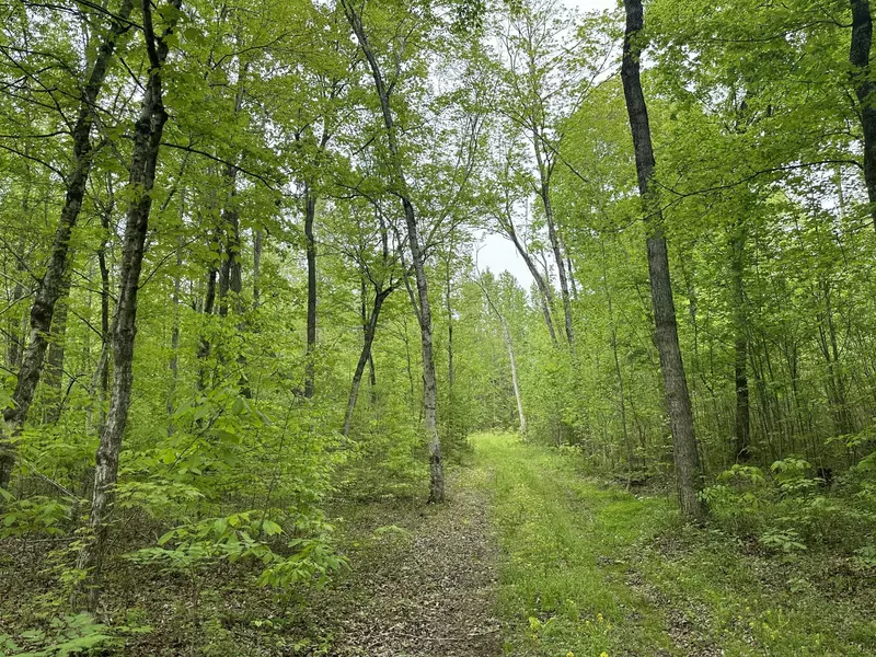 1 Poplar Ridge Rd, Chapmansboro, TN 37035