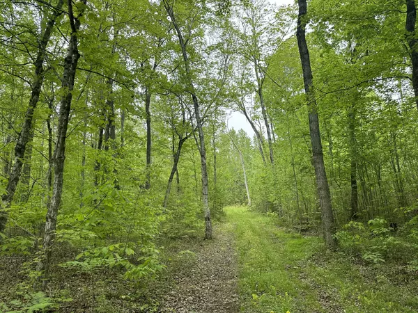 1 Poplar Ridge Rd, Chapmansboro, TN 37035