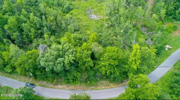 Cosby, TN 37722,12 Tomahawk Drive