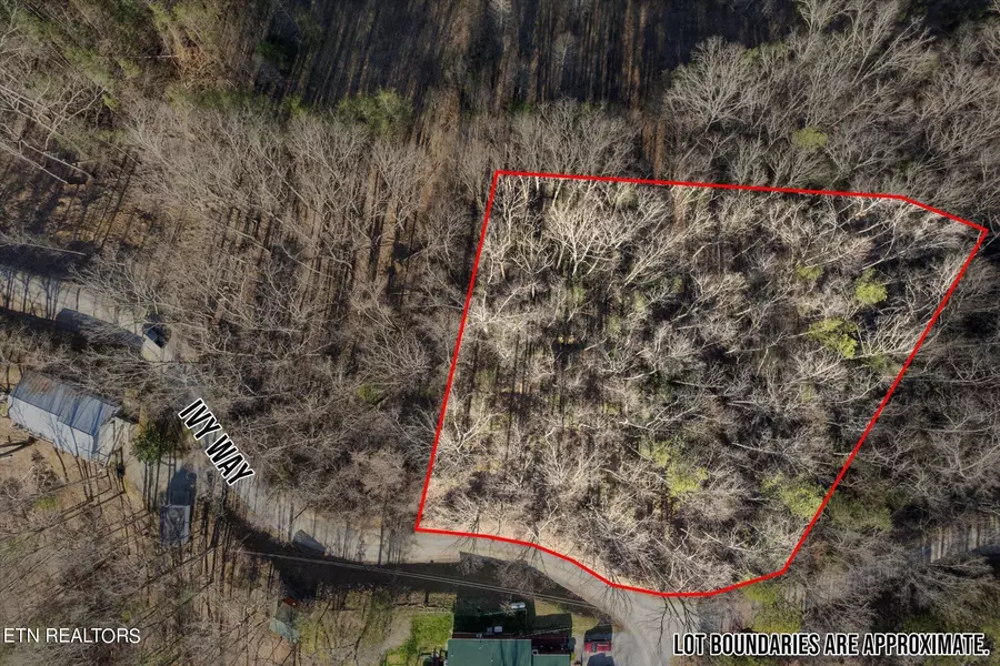 0 Ivy Way, Sevierville, TN 37876