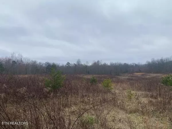 Deer Lodge, TN 37726,1 Rome Rd