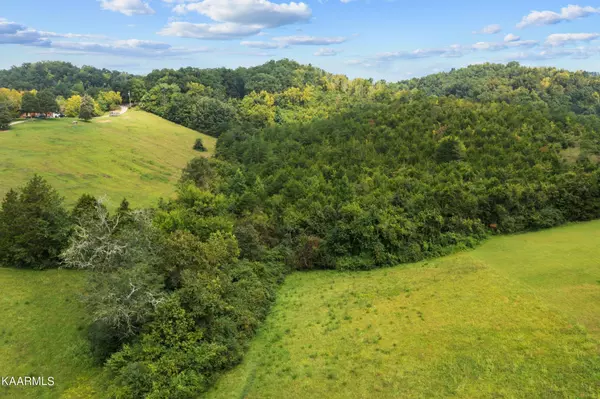 Bybee, TN 37713,0 Joe Reed Rd