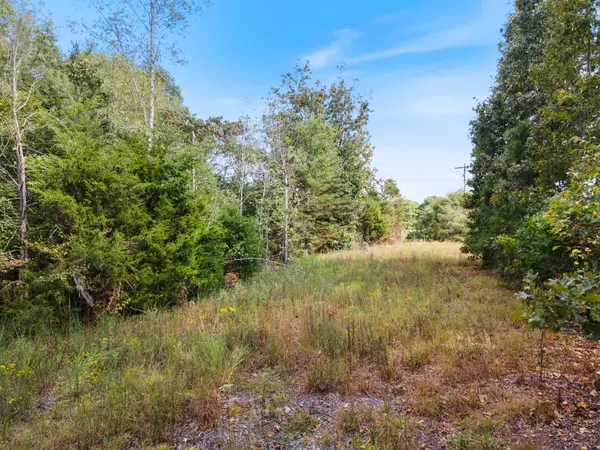 Duck River, TN 38454,2725 She Boss Rd
