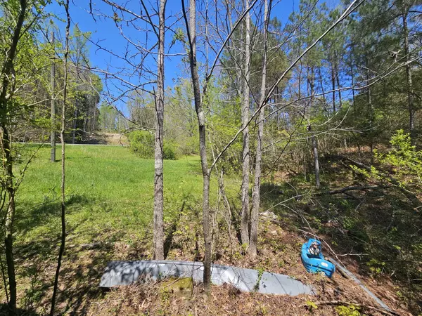 Parsons, TN 38363,5005 Bunches Chapel Rd