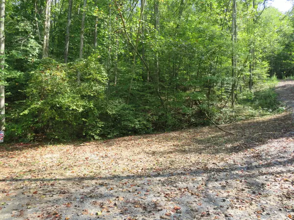 Gallatin, TN 37066,0 BUGG HOLLOW RD