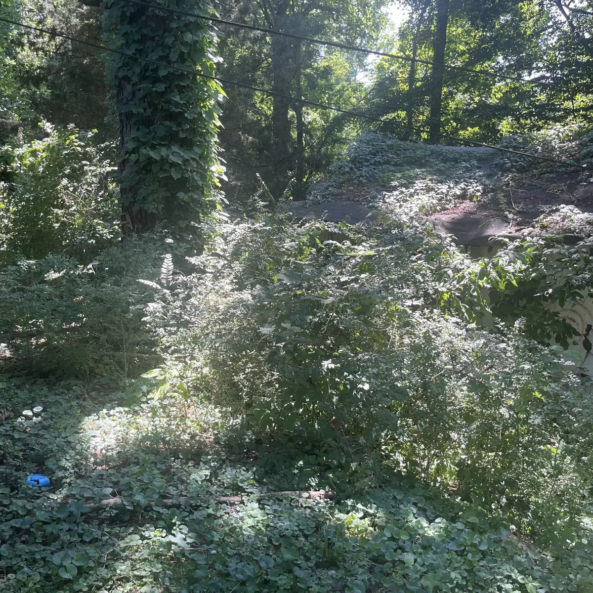 Clarksville, TN 37042,0 Shelby