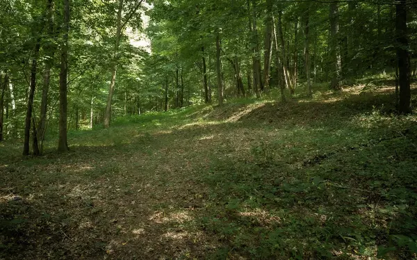 Ooltewah, TN 37363,1754 Oakbrook Trail