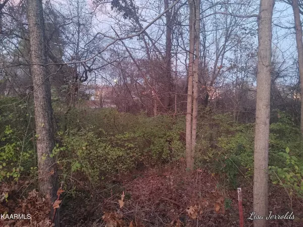 Knoxville, TN 37920,304 W Young High Pike