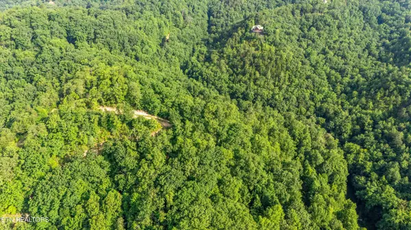 Townsend, TN 37882,1017 Big Buck Tr