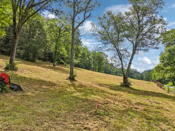Bell Buckle, TN 37020,10A Puncheon Camp Ln