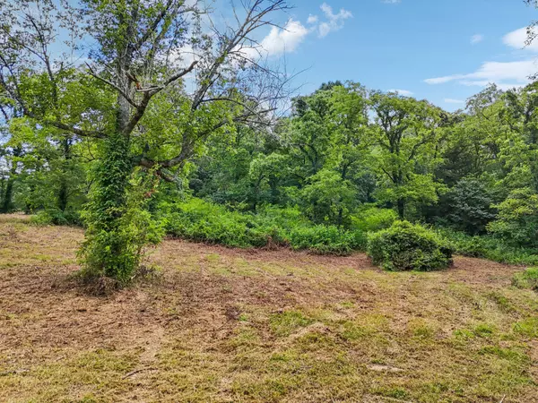 Bell Buckle, TN 37020,10B Puncheon Camp Ln