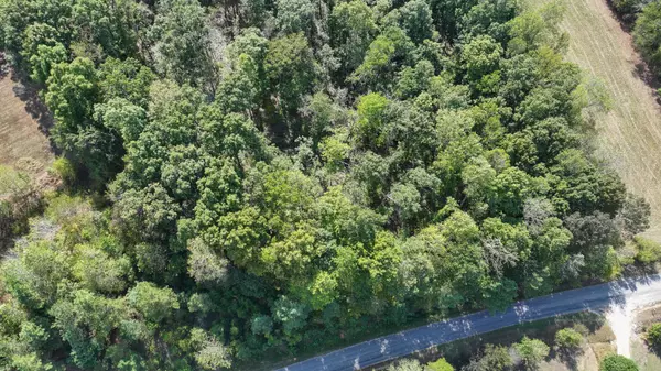 Erin, TN 37061,1 Deep Cut Rd