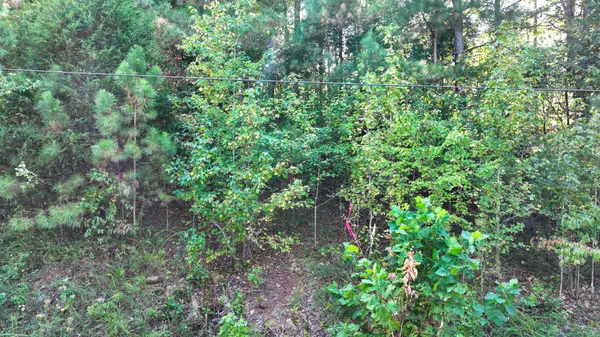 Erin, TN 37061,1 Deep Cut Rd