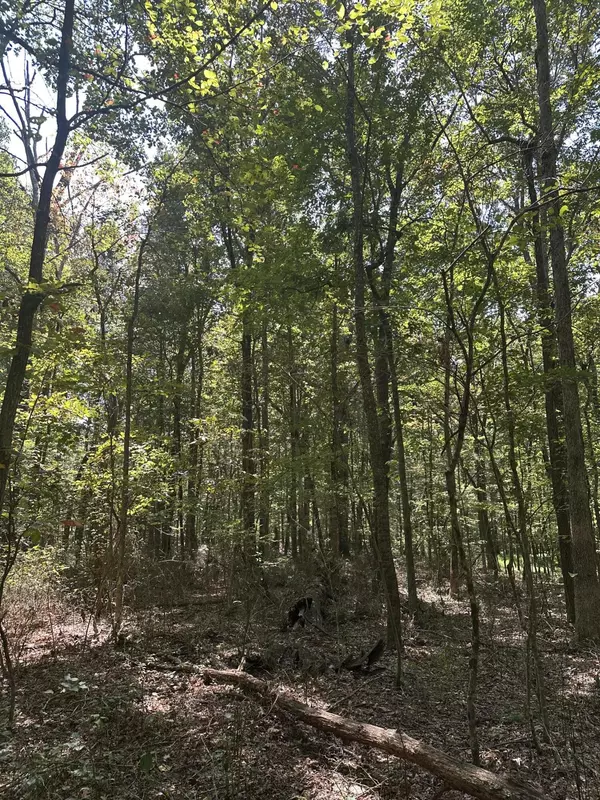 Tracy City, TN 37387,13 Hickory Hollow Sub Road