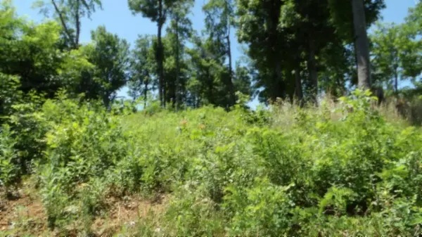 Hilham, TN 38568,0 Rock Fish Lane