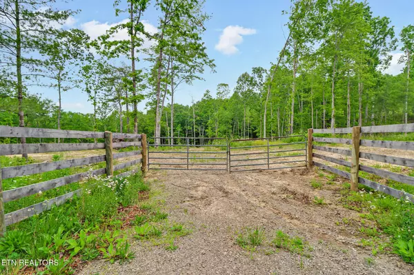 154 Mt Helen Rd, Allardt, TN 38504