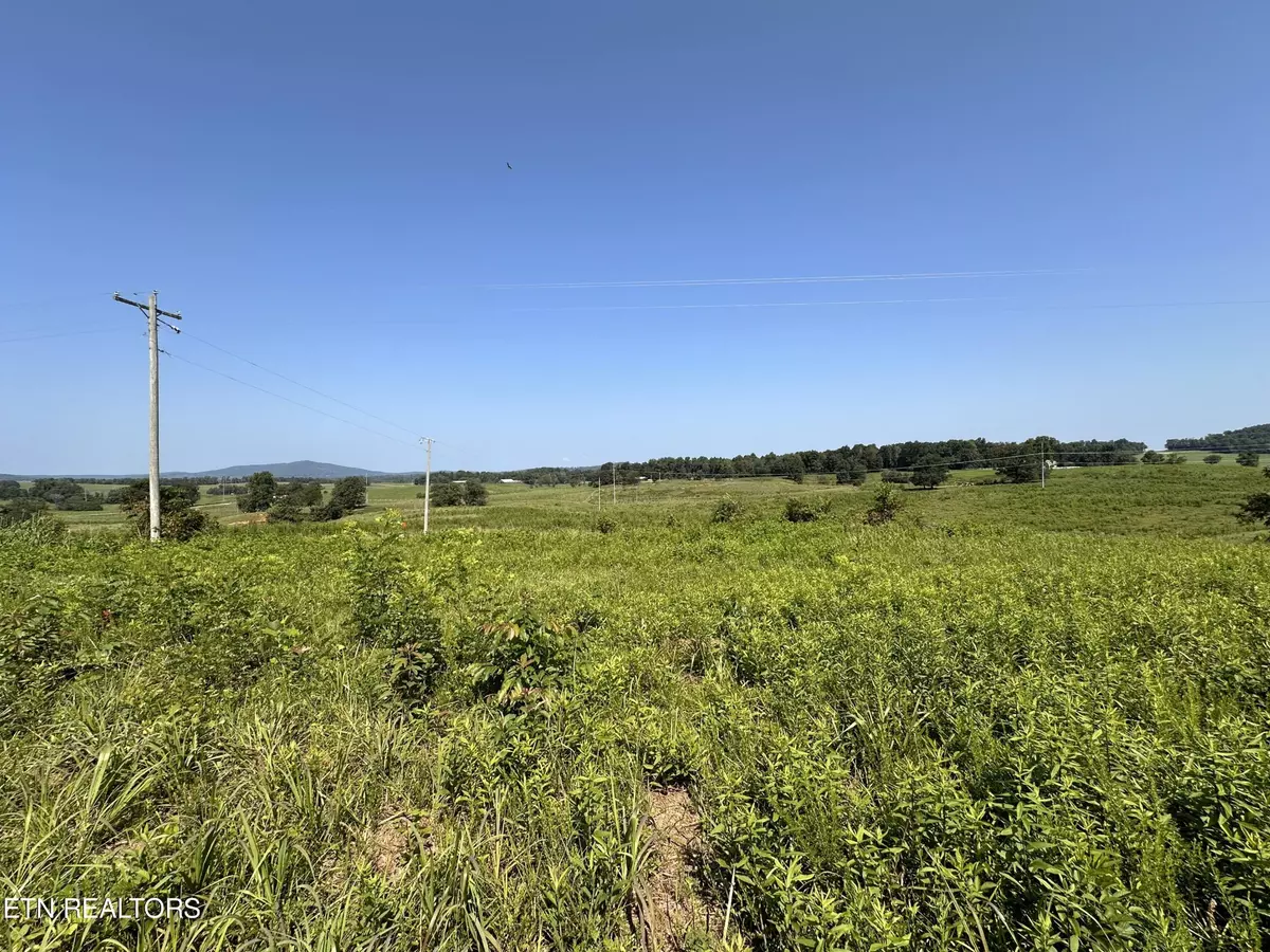 Alpine, TN 38543,621 Jamestown Hwy