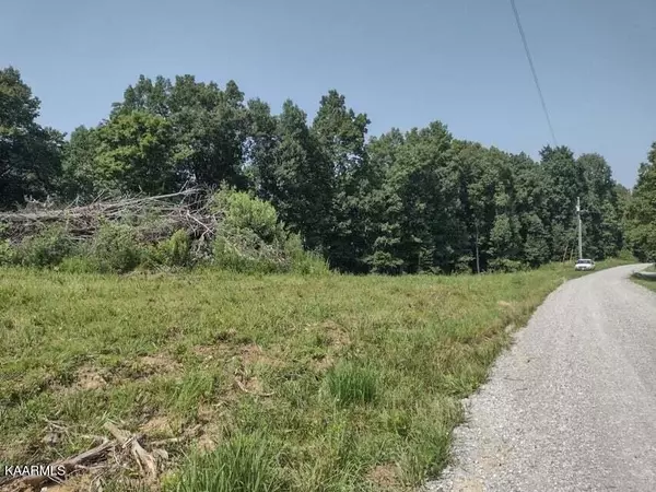 Pikeville, TN 37367,864 Taylor Rd